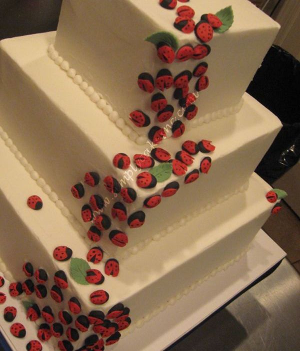 Lady Bug Wedding Cake