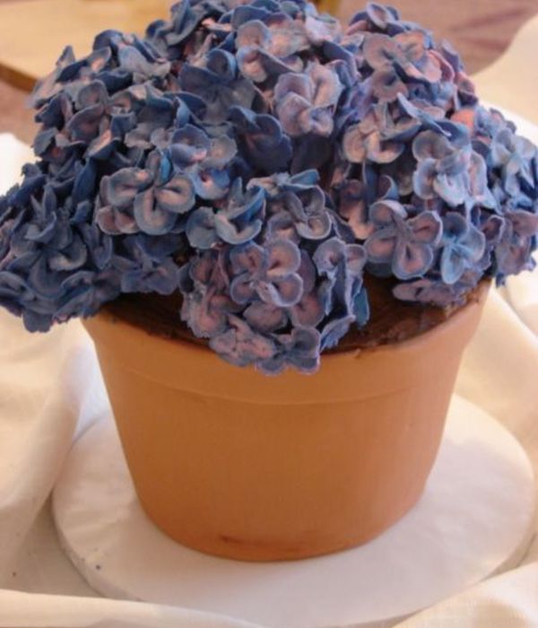 Hydrangea Cake