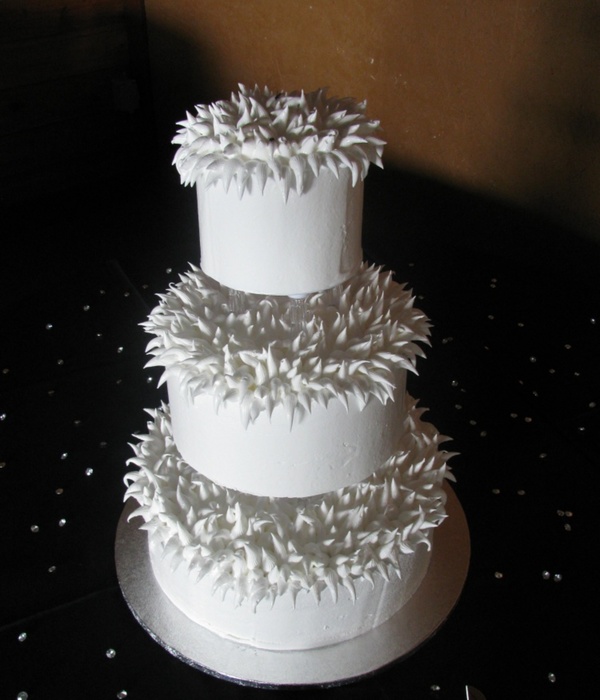 Melissa And Matt's Feather Cake