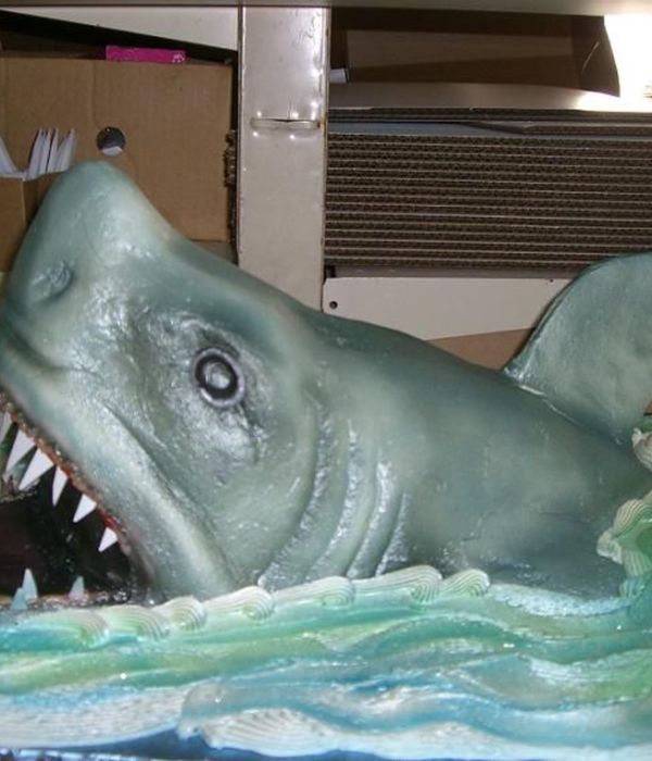 Shark Cake