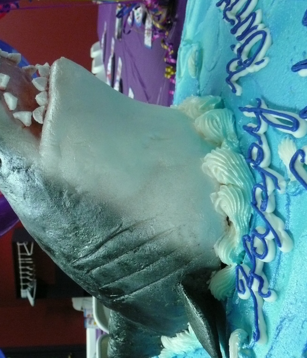 Great White Shark Cake