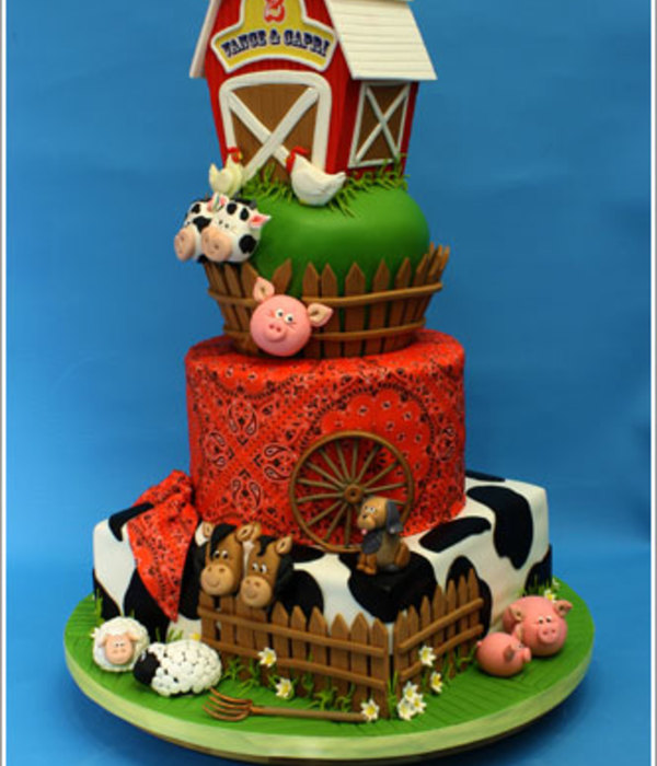 Farm - Barn Yard Cake For Twins