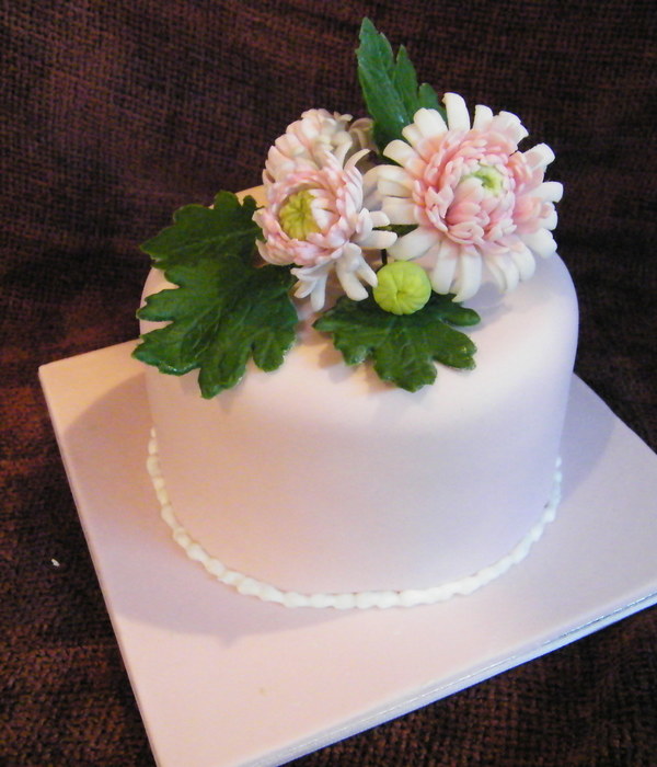 Chrysanthemum Flowers