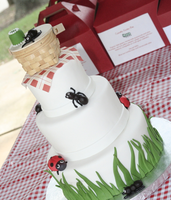 Scholl's 1St Birthday Picnic