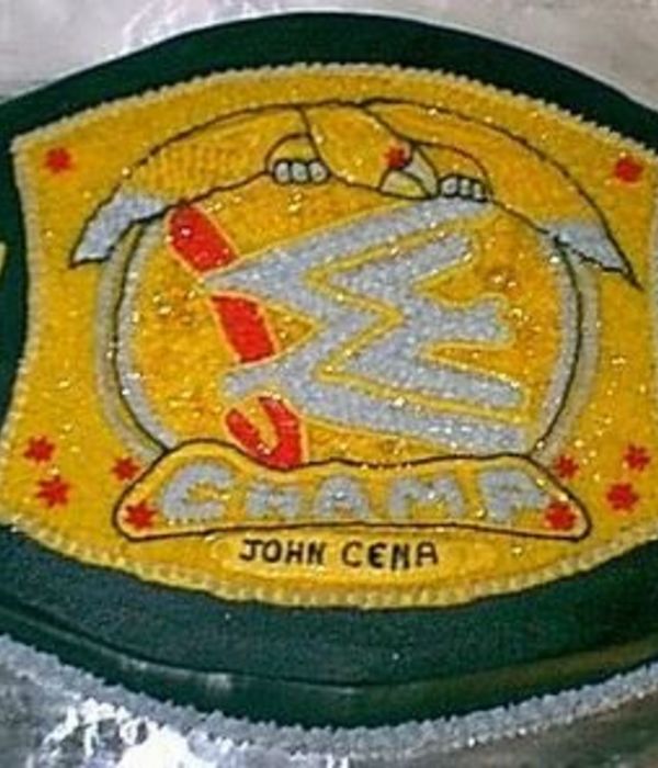 John Cena Title Belt Cake