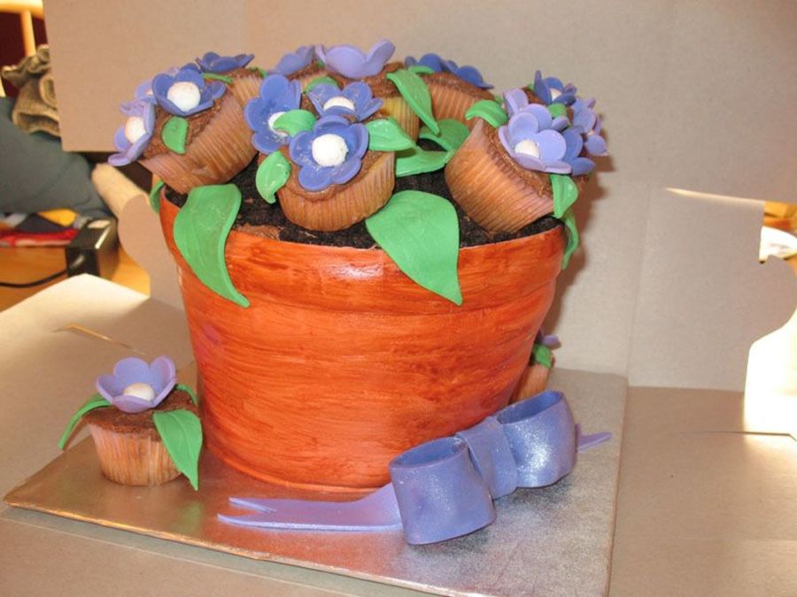 Flower Pot Cake
