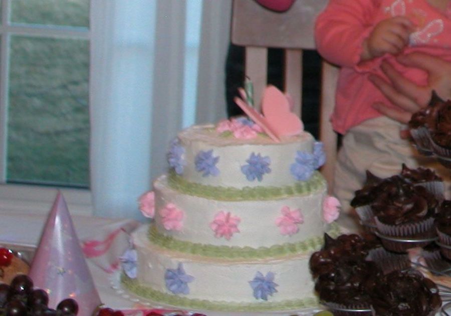 My Daughter's First Birthday