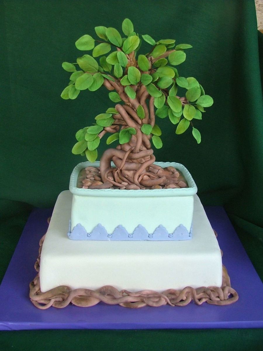 Bonsai Tree On A Birthday Cake - CakeCentral.com