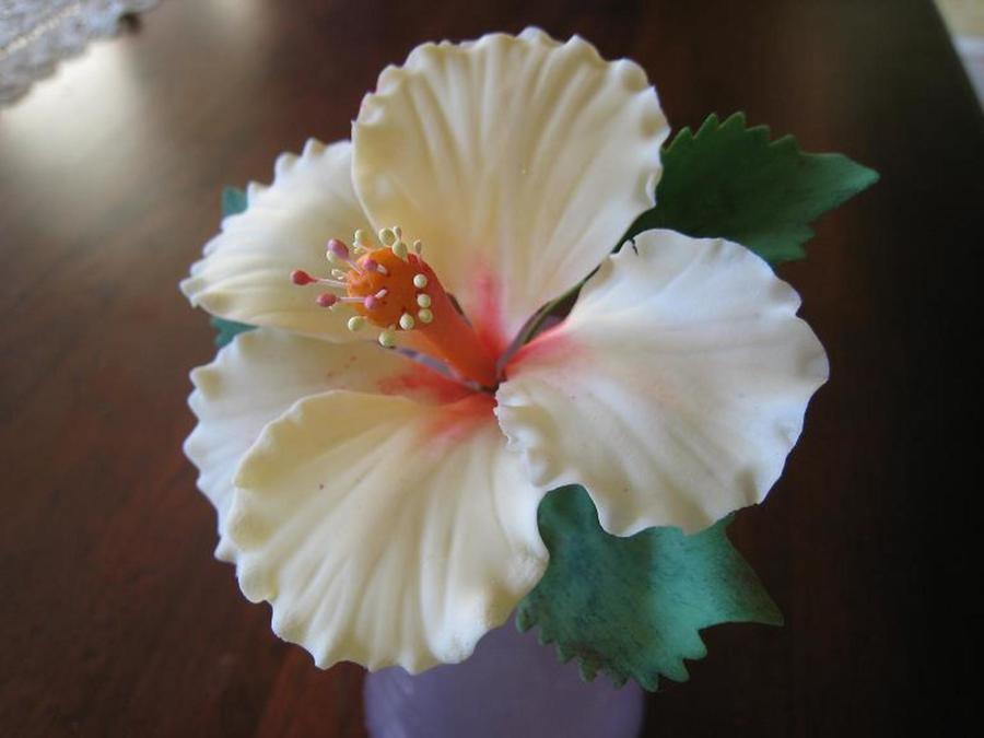 Gum Paste Hibiscus