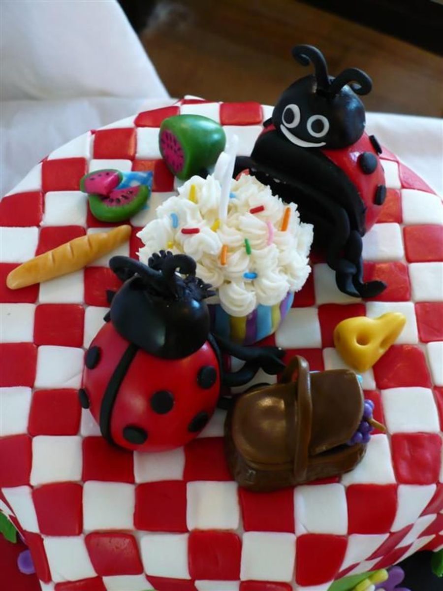 Ladybug Picnic