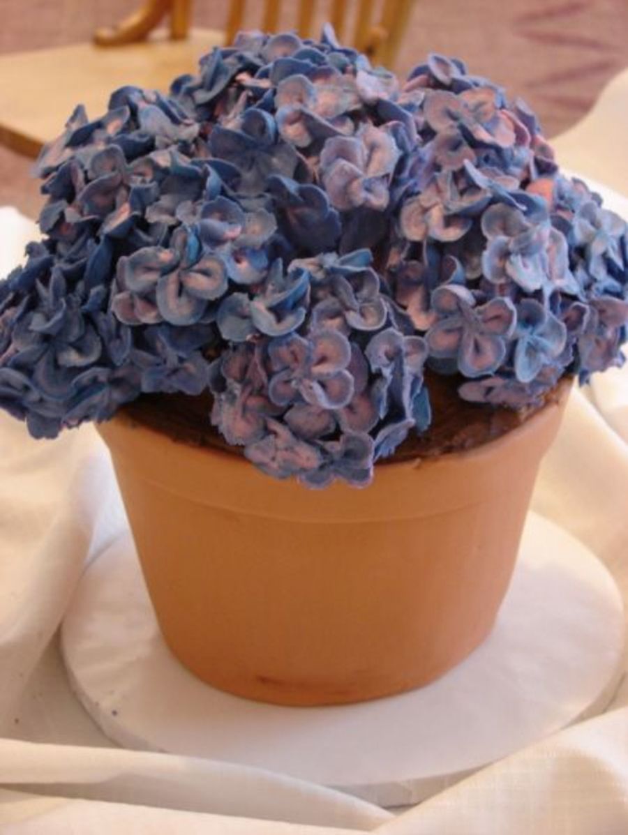 Hydrangea Cake