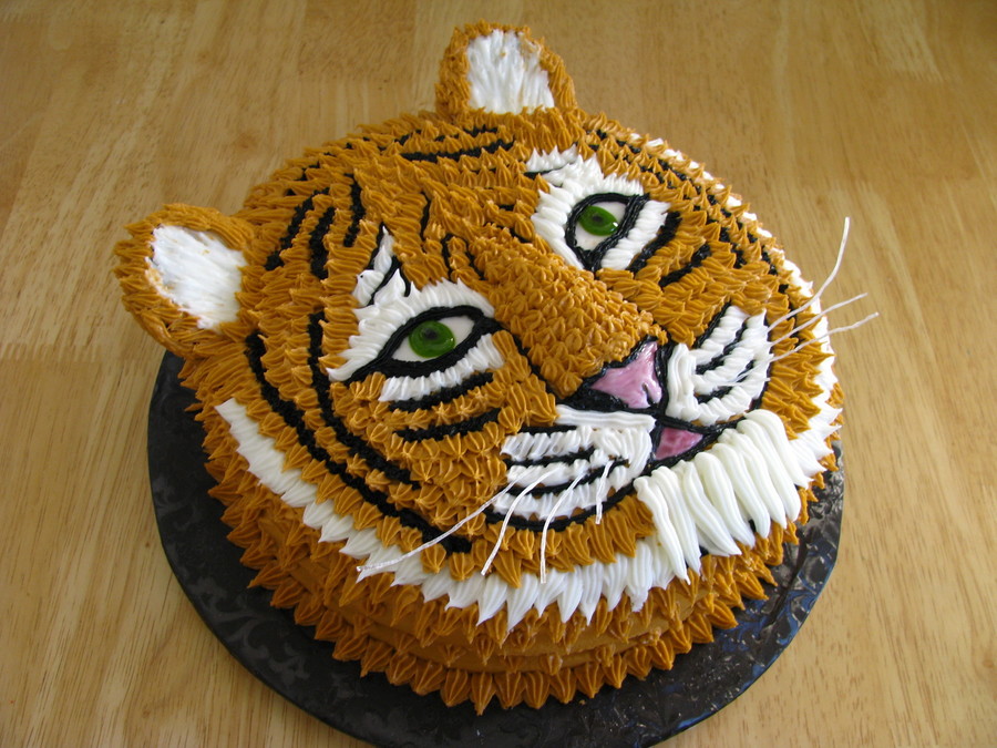 Orange & White Tiger