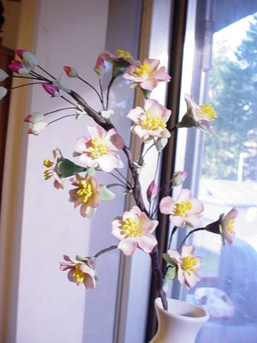 Gum Paste Cherry Blossom