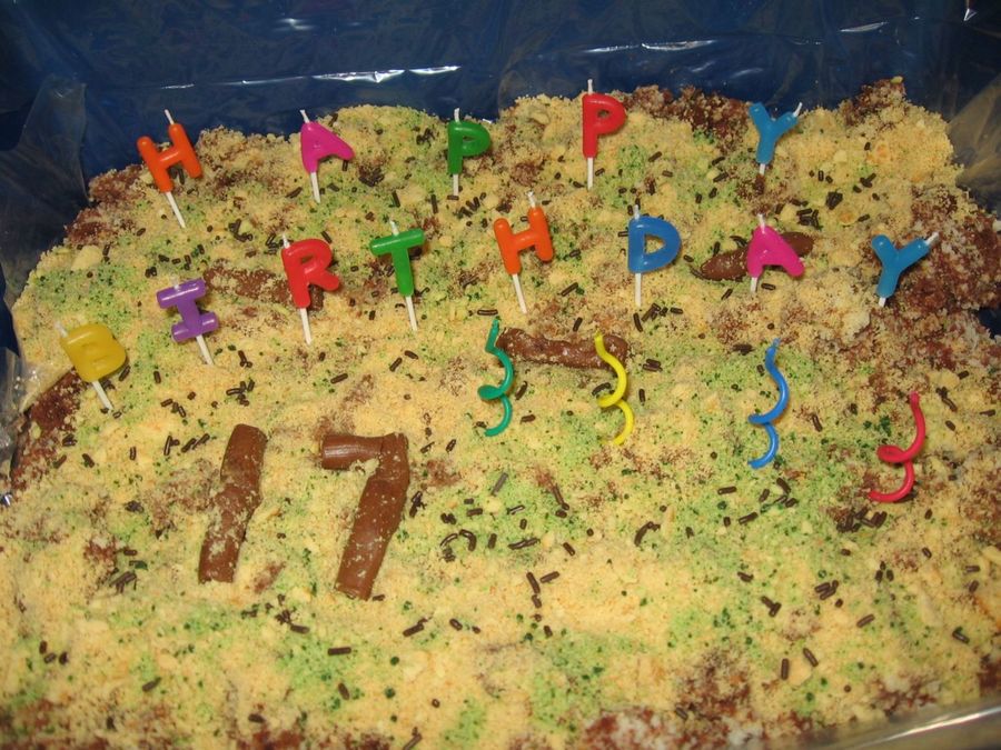 Kitty Litter Box Cake