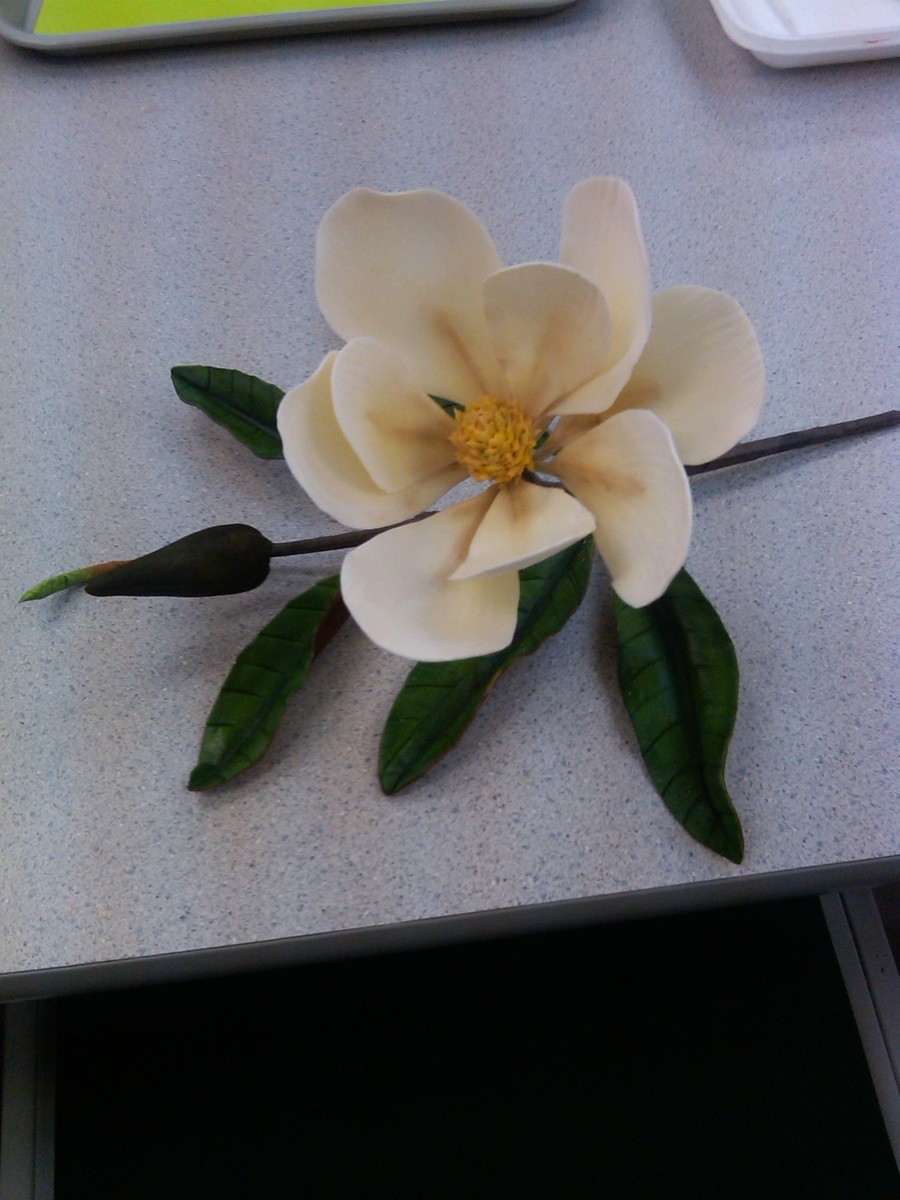 Pâte de gomme de magnolia fleur gumpaste sucre fondant