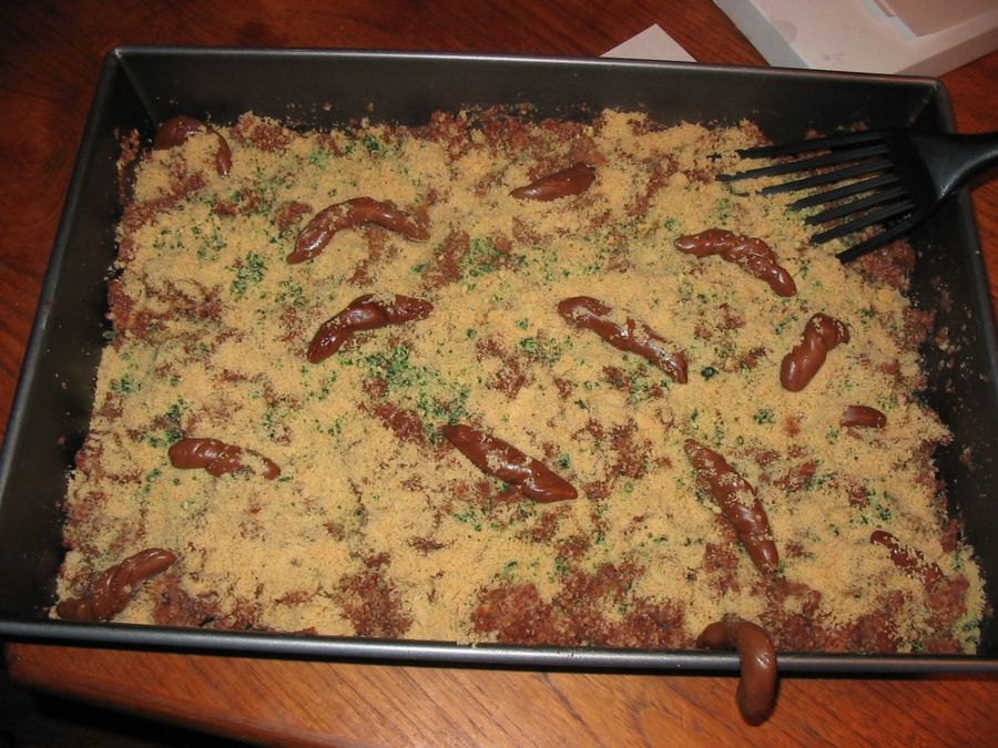 Litter Box Cake