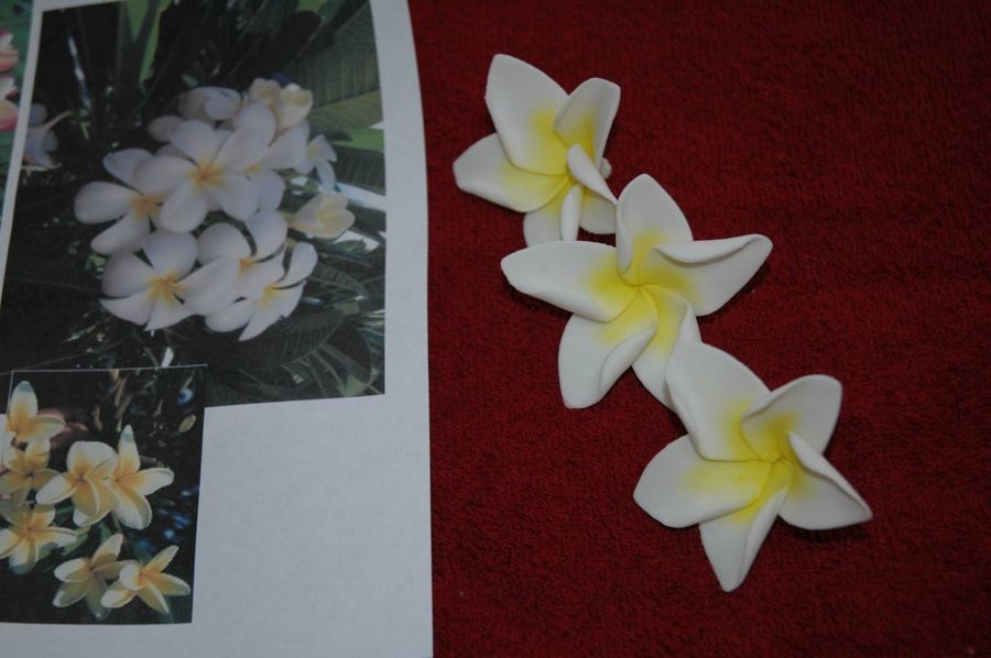 Frangipani Plumeria Gumpaste Flowers