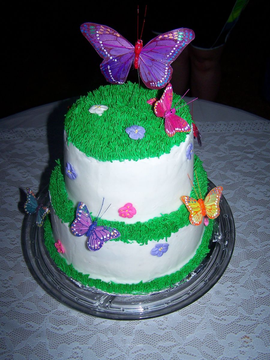 Butterfly Cake