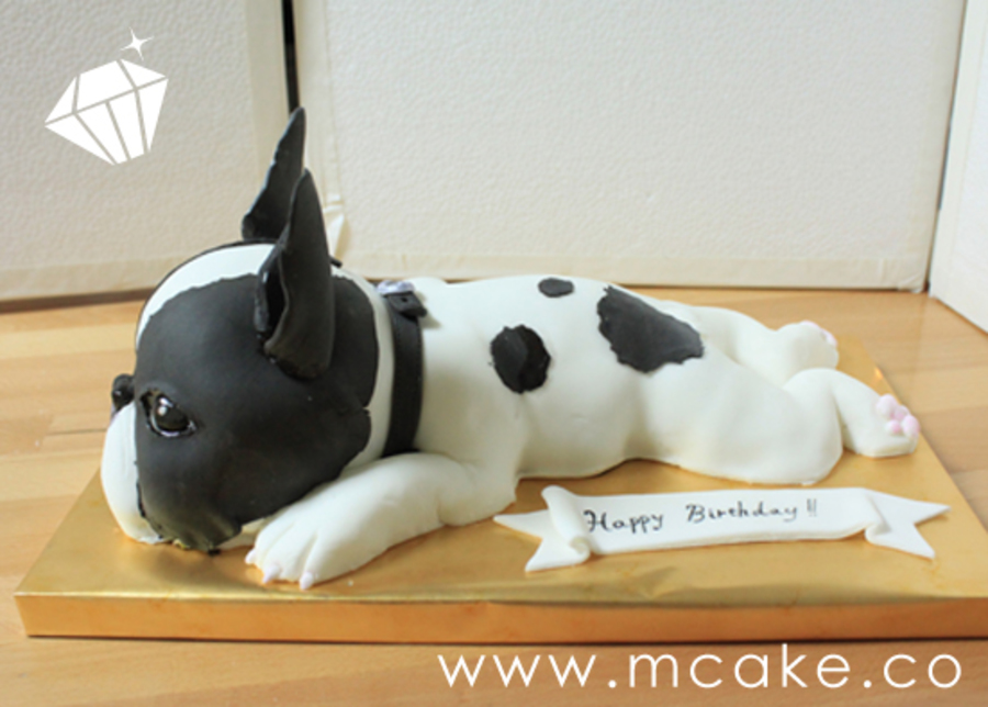 French Bulldog Cake - CakeCentral.com