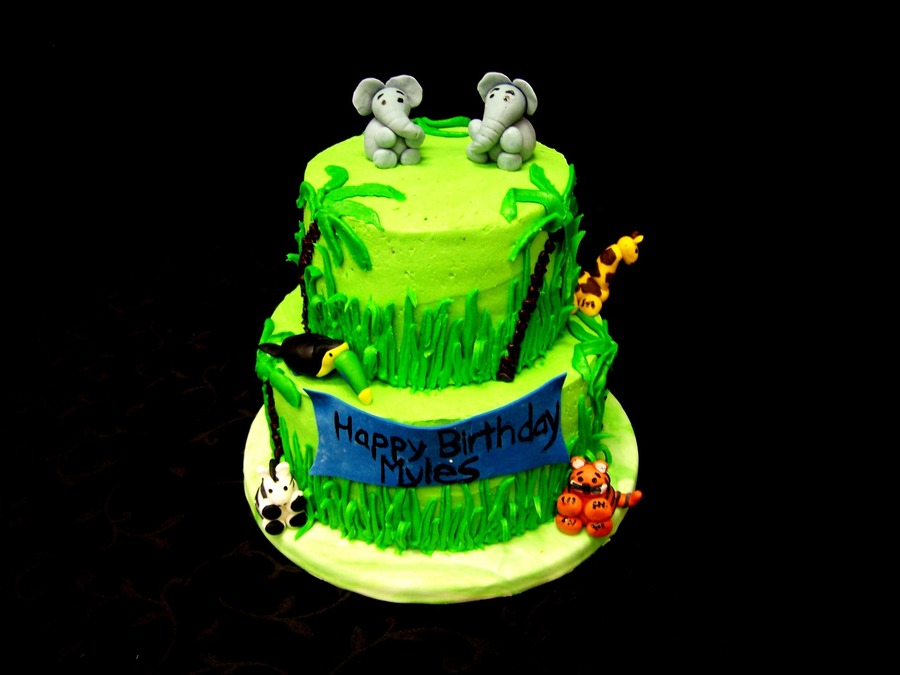 Jungle Cake