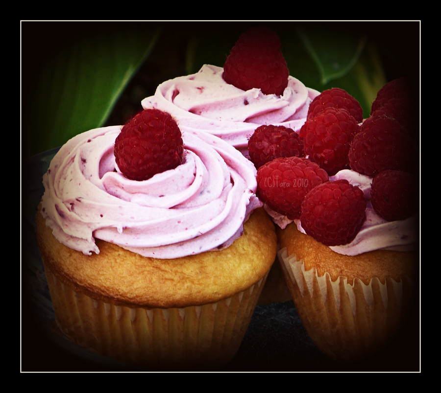 [Jumbo]Vanilla Raspberry Cupcake-Filled W/cheesecake & Raspberry ...