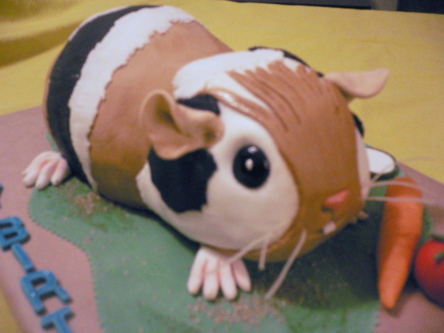 Guinea Pig Birthday Cake