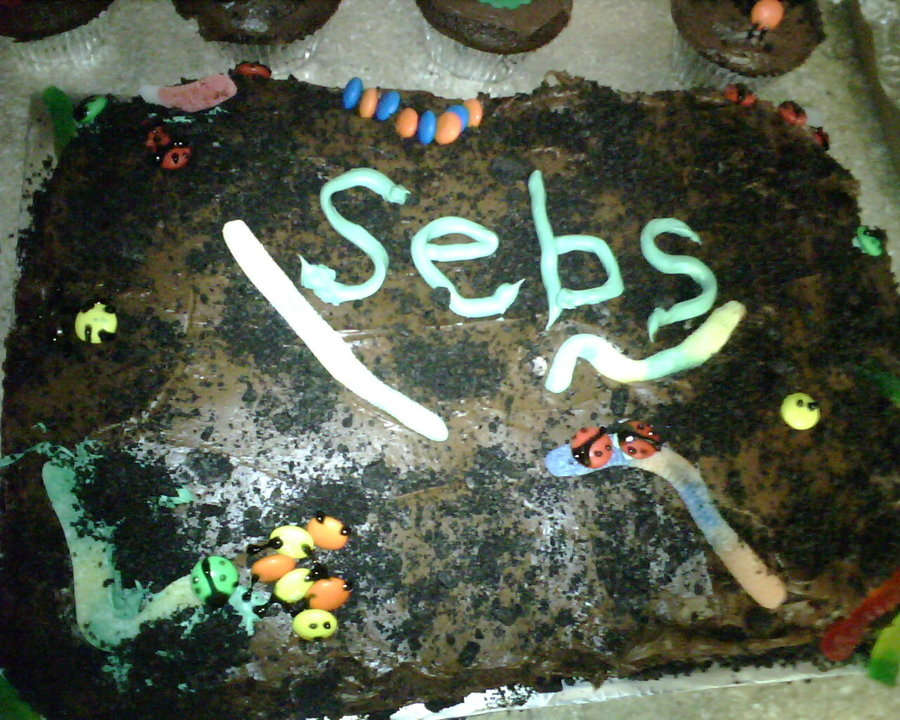 My Sons Birthday Cake… - CakeCentral.com