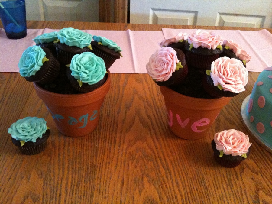 Rose Flower Pots