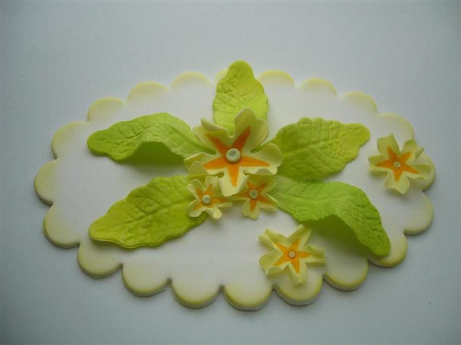 Primrose Leaves And Flowers