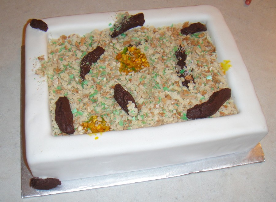 Cat Litter Box Cake