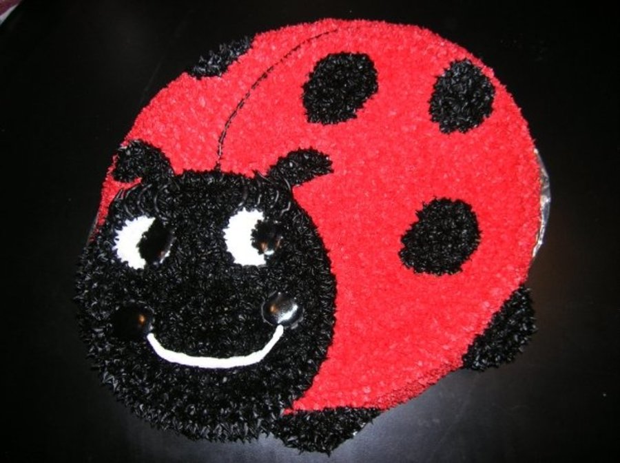 Wilton Ladybug