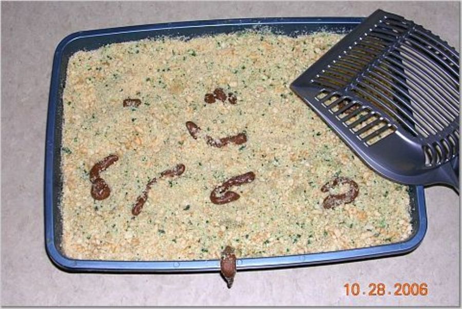 Kitty Litter Cake