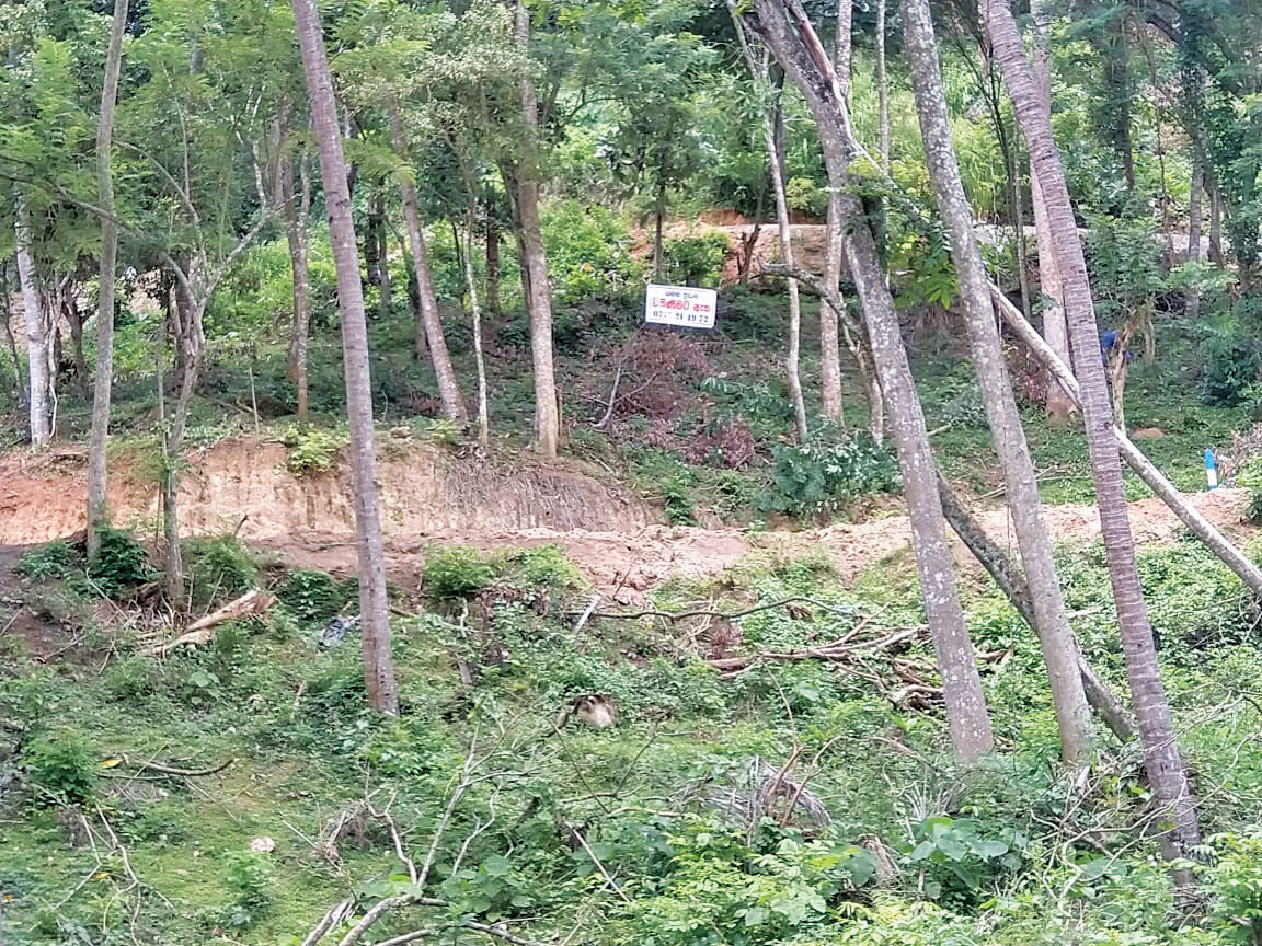 Kandy 24.5 perches Bare land for sale – Adz.lk – Classified Ads ...