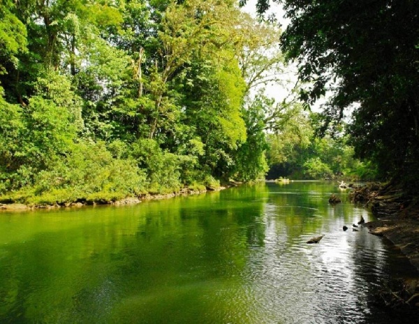 Sarapiquí