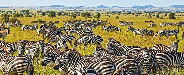 Tanzania