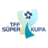 TFF Süper Kupa 2012/13