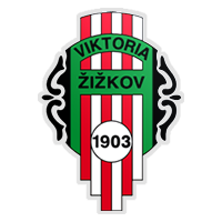 Viktoria Zizkov - Logo