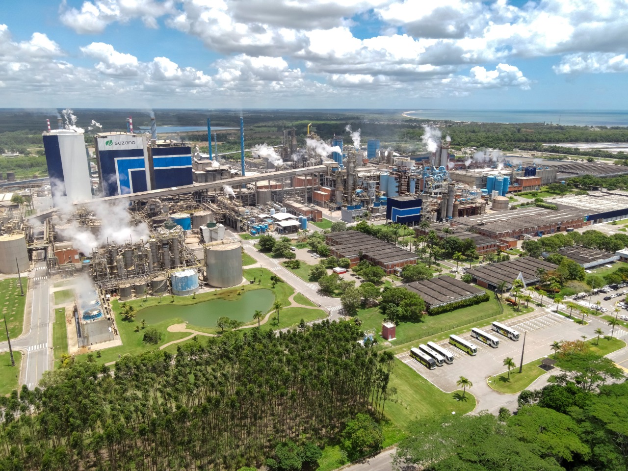 Suzano amplia rede de fornecedores para operações florestais no Espírito Santo