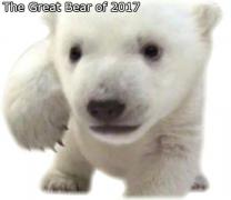 Retrieved from https://slopeofhope.com/commentsys/lnk.php?u=https%3A%2F%2Fs3.amazonaws.com%2Fcdn2.socialtrade.com%2Fcomsys%2Fimgs%2FGreatBear_ZIJUlJ_m.jpg&size=s