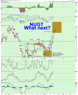 NUGT 2 hour 8.15.png