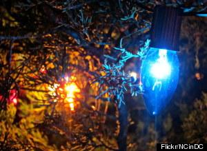 Human Civilization Could Become Quasi-Immortal, Astrobiologist Says