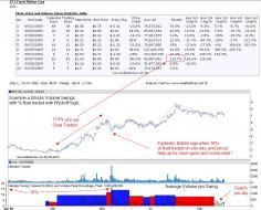 Ford Float and Volume Swings