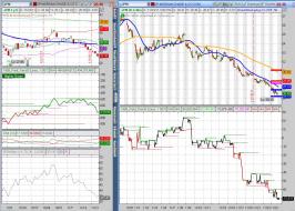 JPM 2011 11 23 Bottom.JPG