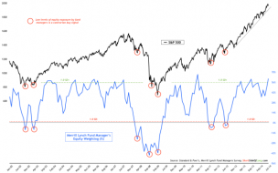 Merrill Lynch Fund Managers Global Equity Weighting