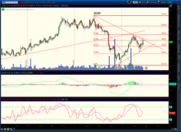 The Slippery Slope Investment and Chuckle Forum