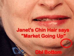 janet_chin_hair_predictor.gif