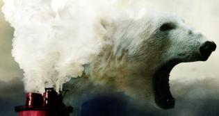 Polar bear / air pollution