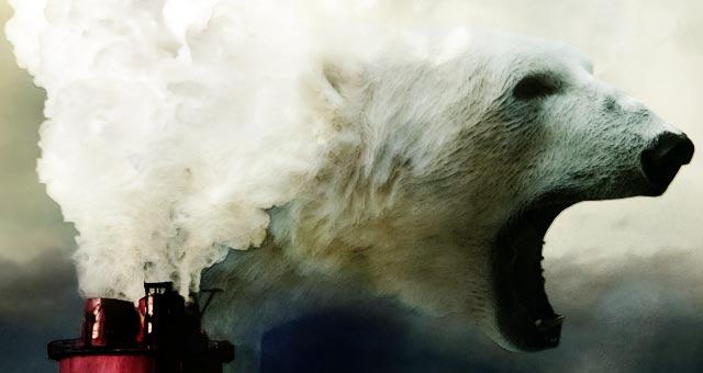 Polar bear / air pollution