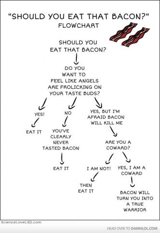 Should You Eat That Bacon?