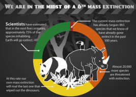 Sixth mass extinction